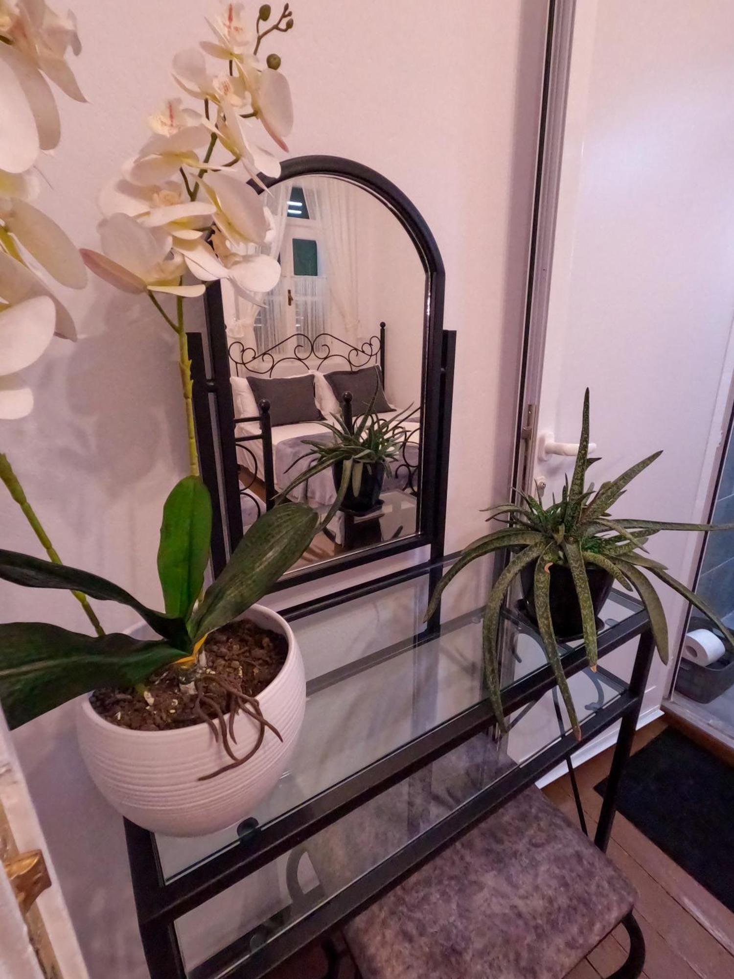 Intown Guesthouse Shkodër 外观 照片